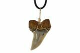 Fossil Mako Tooth Necklace - Bakersfield, California #95264-2